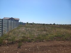 Adunatii Copaceni, Giurgiu