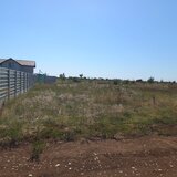 Adunatii Copaceni, Giurgiu